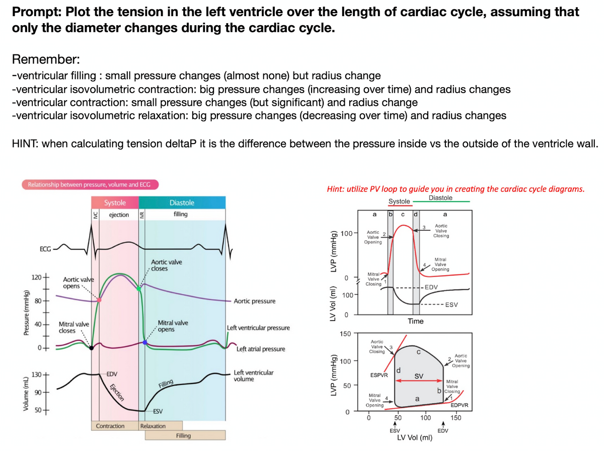 Prompt: Plot the tension in the left ventricle over the length of cardiac cycle, assuming that
only the diameter changes during the cardiac cycle.
Remember:
-ventricular filling : small pressure changes (almost none) but radius change
-ventricular isovolumetric contraction: big pressure changes (increasing over time) and radius changes
-ventricular contraction: small pressure changes (but significant) and radius change
-ventricular isovolumetric relaxation: big pressure changes (decreasing over time) and radius changes
HINT: when calculating tension deltaP it is the difference between the pressure inside vs the outside of the ventricle wall.
Relationship between pressure, volume and ECG
Systole
ejection
Pressure (mmHg)
Volume (mL)
ECG
120
80
40
130
90+
Aortic valve
opens
Mitral valve
closes
EDV
Ejection
Contraction
Aortic valve
closes
Diastole
filling
Mitral valve
opens
Filling
--ESV
Relaxation
Filling
Aortic pressure
Left ventricular pressure
Left atrial pressure
Left ventricular
volume
Hint: utilize PV loop to guide you in creating the cardiac cycle diagrams.
Diastole
Systole
LVP (mmHg)
LV Vol (ml)
LVP (mmHg)
100-
0
100
0
150
100
50
0
T
a
Aortic 2
Valve
Opening
Mitral
Valve
Closing
Aortic
Valve
Closing
ESPVR
Mitral
Valve
Opening
0
4
b
3
P
с
50
ESV
3
Time
a
SV
-EDV
100
a
Aortic
Valve
Closing
Mitral
Valve
Opening
LV Vol (ml)
ESV
Aortic
2 Valve
Opening
Mitral
Valve
b closing
1
EDV
EDPVR
150