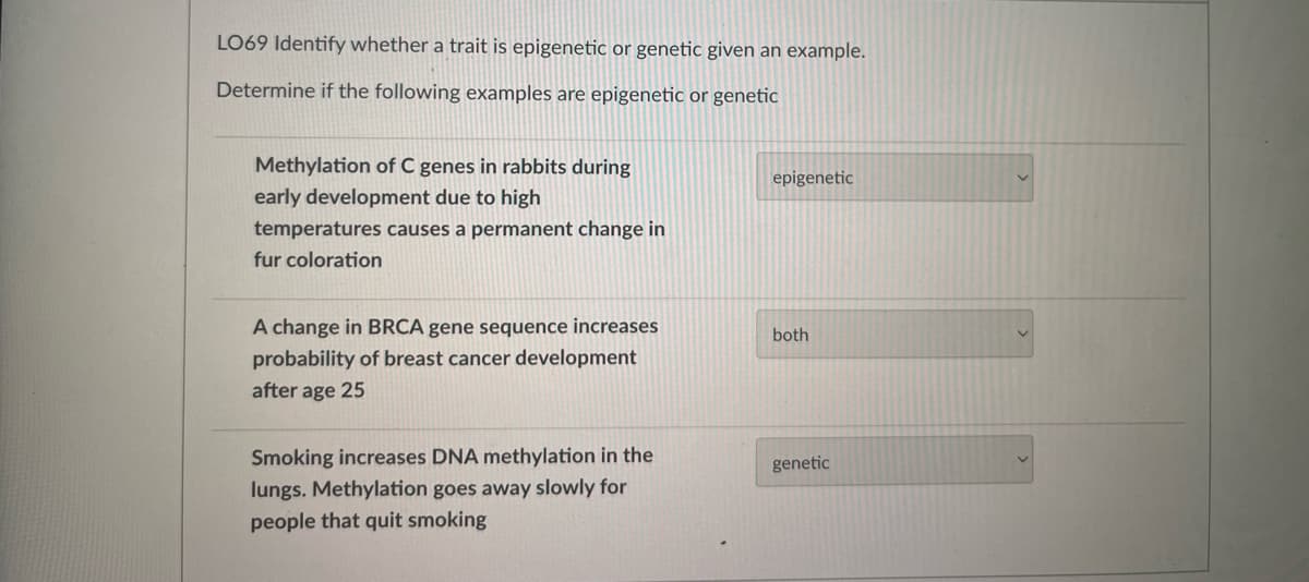 LO69 Identify whether a trait is epigenetic or genetic given an example.
Determine if the following examples are epigenetic or genetic
Methylation of C genes in rabbits during
early development due to high
temperatures causes a permanent change in
fur coloration
A change in BRCA gene sequence increases
probability of breast cancer development
after age 25
Smoking increases DNA methylation in the
lungs. Methylation goes away slowly for
people that quit smoking
epigenetic
both
genetic