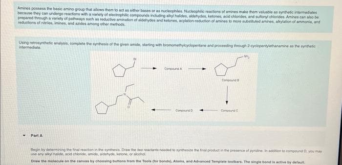 Amines possess the basic amino group that allows them to act as either bases or as nucleophiles. Nucleophilic reactions of amines make them valuable as synthetic intermediates
because they can undergo reactions with a variety of electrophilic compounds including alkyl halides, aldehydes, ketones, acid chlorides, and sulfonyl chlorides. Amines can also be
prepared through a variety of pathways such as reductive amination of aldehydes and ketones, acylation-reduction of amines to more substituted amines, alkylation of ammonia, and
reductions of nitriles, imines, and azides among other methods.
Using retrosynthetic analysis, complete the synthesis of the given amide, starting with bromomethylcyclopentane and proceeding through 2-cyclopentylethanamine as the synthetic
intermediate.
Y
Part A
Compound A
-
Compound D
Compound B
Compound C
Begin by determining the final reaction in the synthesis. Draw the two reactants needed to synthesize the final product in the presence of pyridine. In addition to compound D, you may
use any alkyl halde, acid chloride, amido, aldehyde, ketone, or alcohol
Draw the molecule on the canvas by choosing buttons from the Tools (for bonds), Atoms, and Advanced Template toolbars. The single bond is active by default.