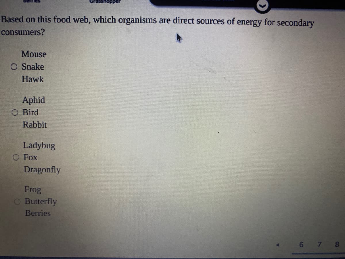 Based on this food web, which organisms are direct sources of energy for secondary
consumers?
Mouse
O Snake
Hawk
Aphid
O Bird
Rabbit
Ladybug
O Fox
Dragonfly
Frog
Butterfly
Berries
6 7 8
