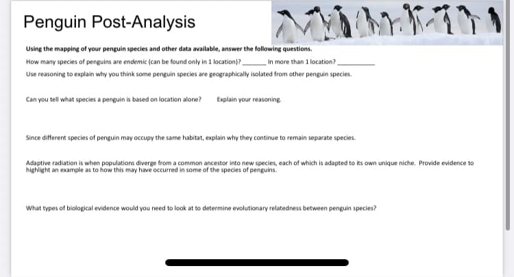 Penguin Post-Analysis
Using the mapping of your penguin species and other data available, answer the following questions.
In more than 1 location?
How many species of penguins are endemic (can be found only in 1 location)? _
Use reasoning to explain why you think some penguin species are geographically isolated from other penguin species.
Can you tell what species a penguin is based on location alone? Explain your reasoning.
Since different species of penguin may occupy the same habitat, explain why they continue to remain separate species.
Adaptive radiation is when populations diverge from a common ancestor into new species, each of which is adapted to its own unique niche. Provide evidence to
highlight an example as to how this may have occurred in some of the species of penguins.
What types of biological evidence would you need to look at to determine evolutionary relatedness between penguin species?
