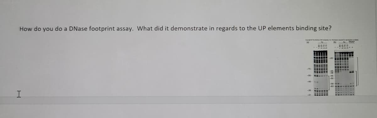 How do you do a DNase footprint assay. What did it demonstrate in regards to the UP elements binding site?
fal
8022
-75
I