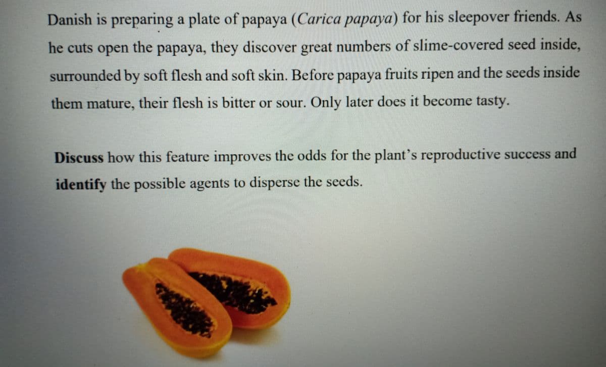 Danish is preparing a plate of papaya (Carica papaya) for his sleepover friends. As
he cuts open the papaya, they discover great numbers of slime-covered seed inside,
surrounded by soft flesh and soft skin. Before papaya fruits ripen and the seeds inside
them mature, their flesh is bitter or sour. Only later does it become tasty.
Discuss how this feature improves the odds for the plant's reproductive success and
identify the possible agents to disperse the seeds.
