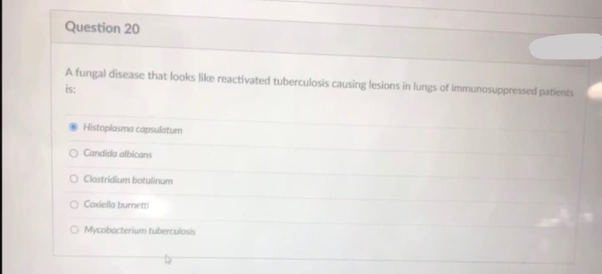 Question 20
A fungal disease that looks like reactivated tuberculosis causing lesions in lungs of immunosuppressed patients
is:
• Histoplasma capsulatum
O Candida albicans
O Clostridium botulinum
O Coxiella burnetti
O Mycobacterium tuberculosis
