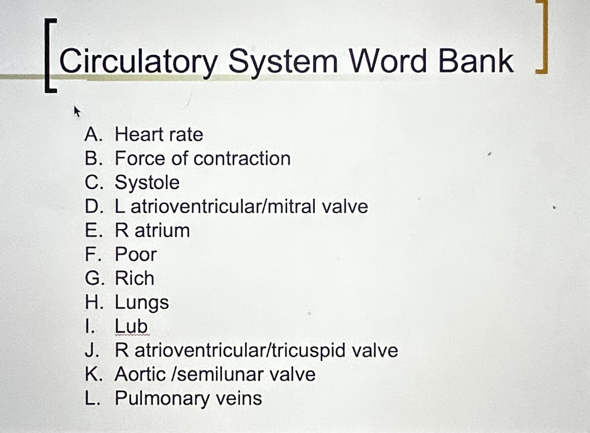 Circulatory System Word Bank
A. Heart rate
B. Force of contraction
C. Systole
D. L atrioventricular/mitral valve
E. R atrium
F. Poor
G. Rich
H. Lungs
1. Lub
J. R atrioventricular/tricuspid valve
K. Aortic /semilunar valve
L. Pulmonary veins