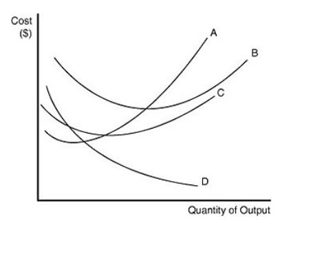 Cost
($)
D
B
Quantity of Output
