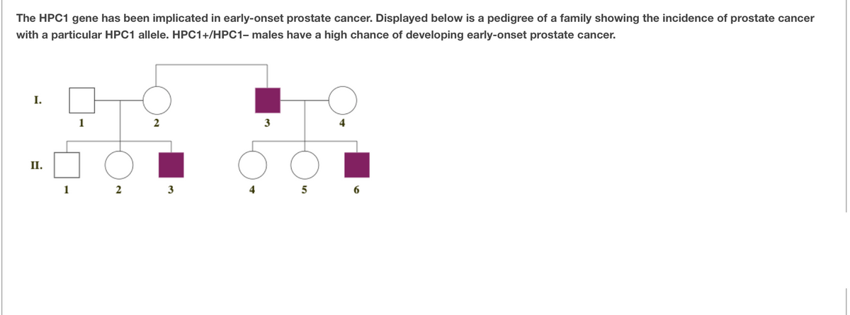 The HPC1 gene has been implicated in early-onset prostate cancer. Displayed below is a pedigree of a family showing the incidence of prostate cancer
with a particular HPC1 allele. HPC1+/HPC1- males have a high chance of developing early-onset prostate cancer.
I.
1
3
II.
2 3
6
1
4
5
