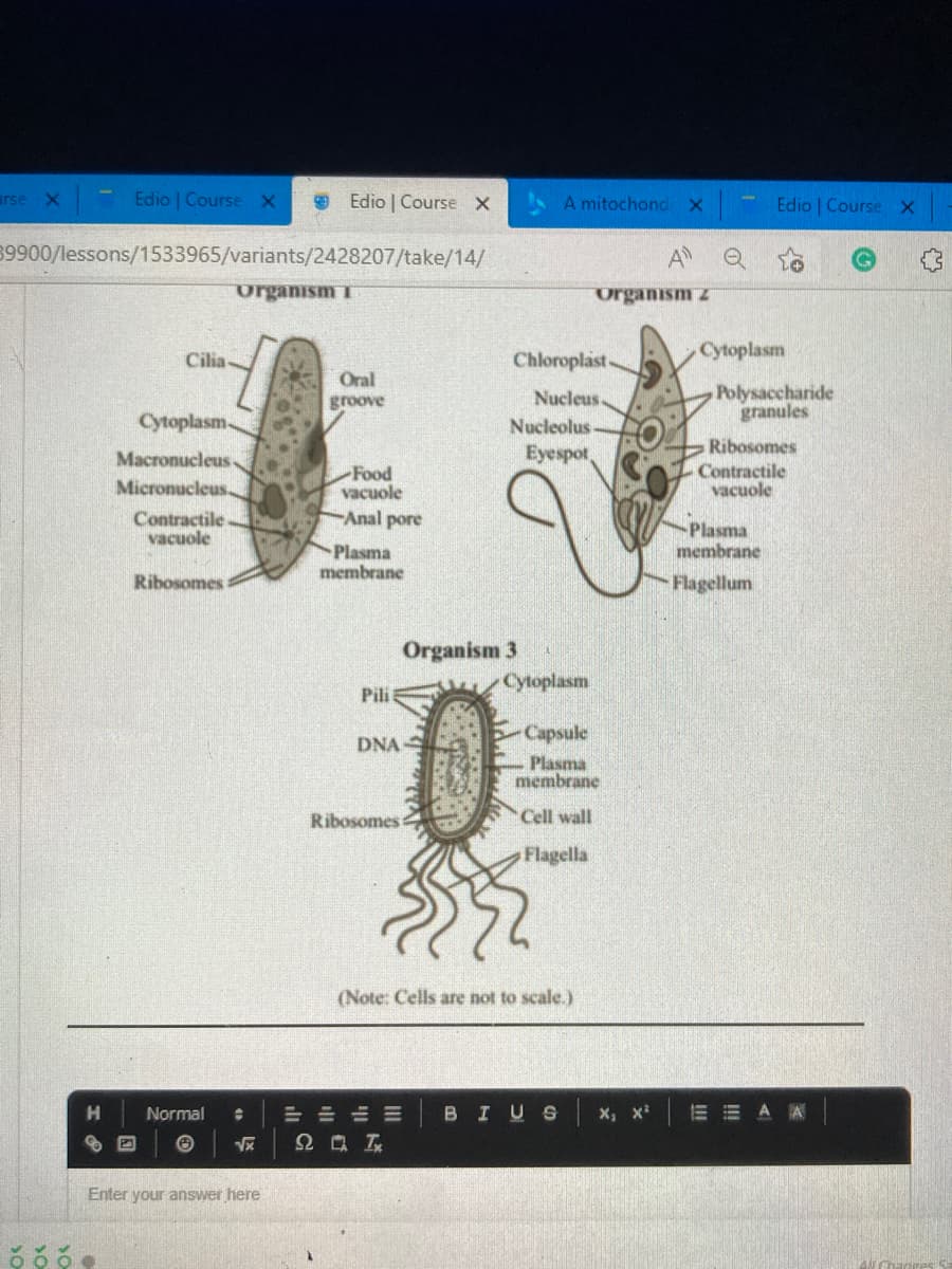 rse X Edio | Course x
Edio | Course X
A mitochond x
Edio Course X
39900/lessons/1533965/variants/2428207/take/14/
A
organism T
Organism z
Cytoplasm
Cilia
Chloroplast-
Oral
Polysaccharide
granules
groove
Nucleus.
Cytoplasm
Nucleolus
Ribosomes
Contractile
vacuole
Macronucleus
Eyespot,
Food
vacuole
Micronucleus.
Anal pore
Contractile
vacuole
Plasma
membrane
Plasma
membrane
Ribosomes
Flagellum
Organism 3
Cytoplasm
Pili
Capsule
DNA
Plasma
membrane
Ribosomes
Cell wall
Flagella
(Note: Cells are not to scale.)
Normal
==山川
BIUS
E E A A
Enter your answer here
O O O
