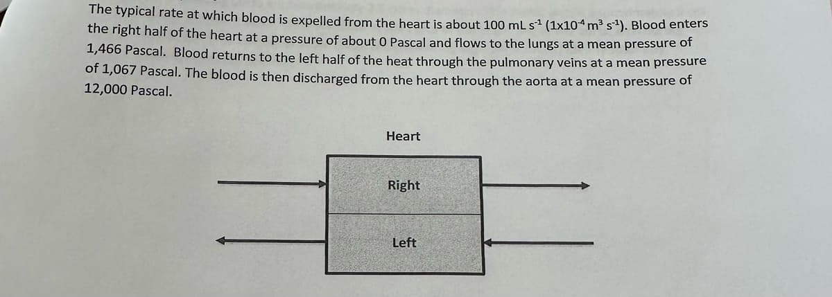 The typical rate at which blood is expelled from the heart is about 100 mL s¹ (1x104 m³ s¹). Blood enters
the right half of the heart at a pressure of about 0 Pascal and flows to the lungs at a mean pressure of
1,466 Pascal. Blood returns to the left half of the heat through the pulmonary veins at a mean pressure
of 1,067 Pascal. The blood is then discharged from the heart through the aorta at a mean pressure of
12,000 Pascal.
Heart
Right
Left