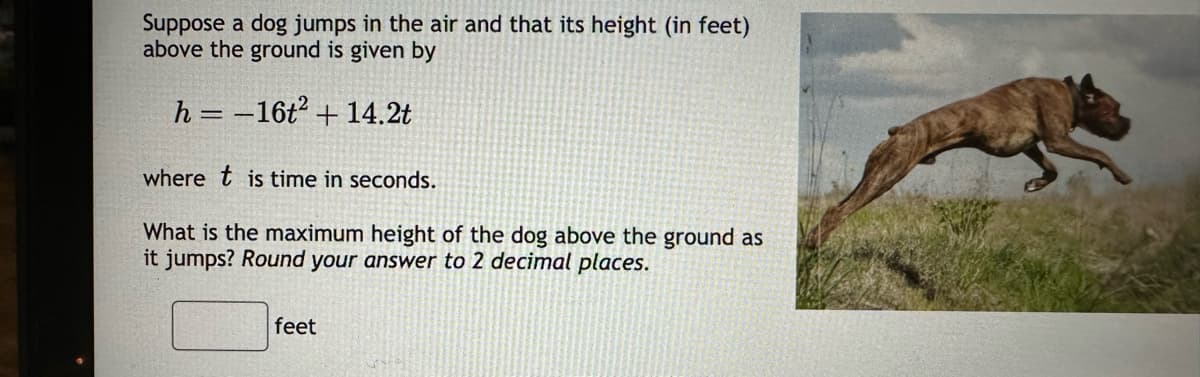 Suppose a dog jumps in the air and that its height (in feet)
above the ground is given by
h=16t² + 14.2t
where t is time in seconds.
What is the maximum height of the dog above the ground as
it jumps? Round your answer to 2 decimal places.
feet