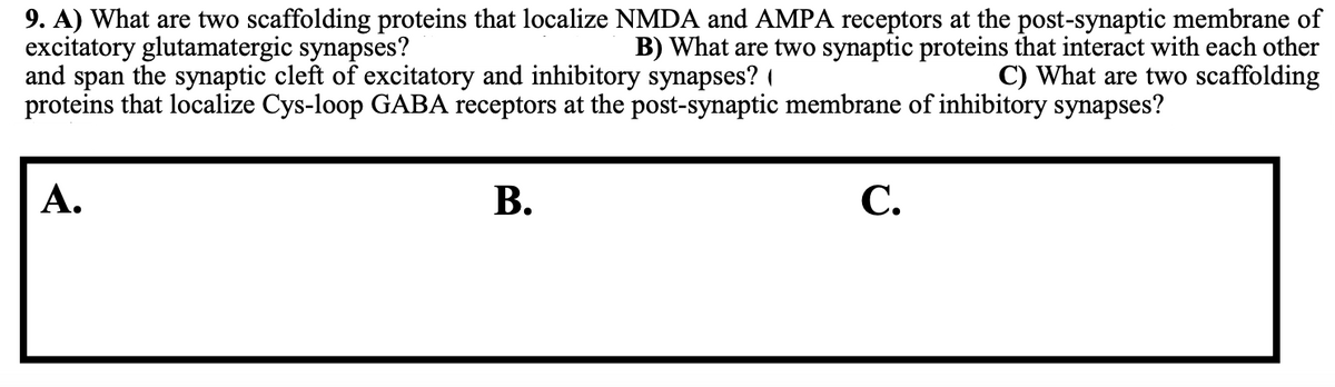 9. A) What are two scaffolding proteins that localize NMDA and AMPA receptors at the post-synaptic membrane of
excitatory glutamatergic synapses? |
B) What are two synaptic proteins that interact with each other
and span the synaptic cleft of excitatory and inhibitory synapses?
What are two scaffolding
proteins that localize Cys-loop GABA receptors at the post-synaptic membrane of inhibitory synapses?
A.
B.
C.