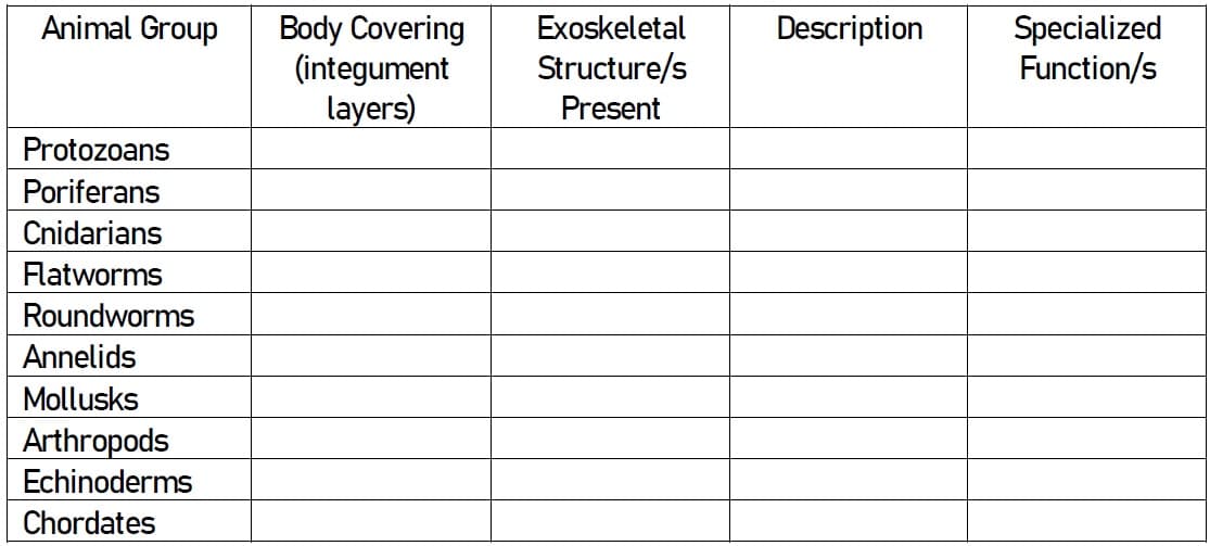 Animal Group
Protozoans
Poriferans
Cnidarians
Flatworms
Roundworms
Annelids
Mollusks
Arthropods
Echinoderms
Chordates
Body Covering
(integument
layers)
Exoskeletal
Structure/s
Present
Description
Specialized
Function/s