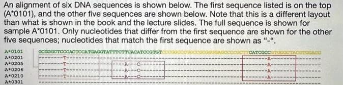 An alignment of six DNA sequences is shown below. The first sequence listed is on the top
(A*0101), and the other five sequences are shown below. Note that this is a different layout
than what is shown in the book and the lecture slides. The full sequence is shown for
sample A*0101. Only nucleotides that differ from the first sequence are shown for the other
five sequences; nucleotides that match the first sequence are shown as "-".
GCGGGCTCCCACTOCATGAGGTATTTO
TCCGTGT
CATCGO
A*0101
A*0201
A 0205
A*0206
A 0210
A 0301