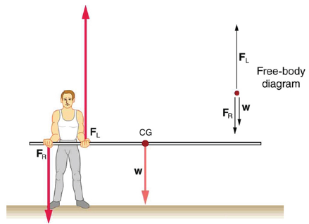F
Free-body
diagram
w
Fa
F
CG
FR

