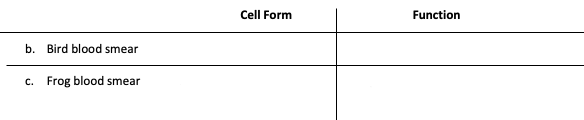 Cell Form
Function
b. Bird blood smear
c. Frog blood smear
