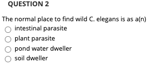 QUESTION 2
The normal place to find wild C. elegans is as a(n)
intestinal parasite
plant parasite
pond water dweller
soil dweller
