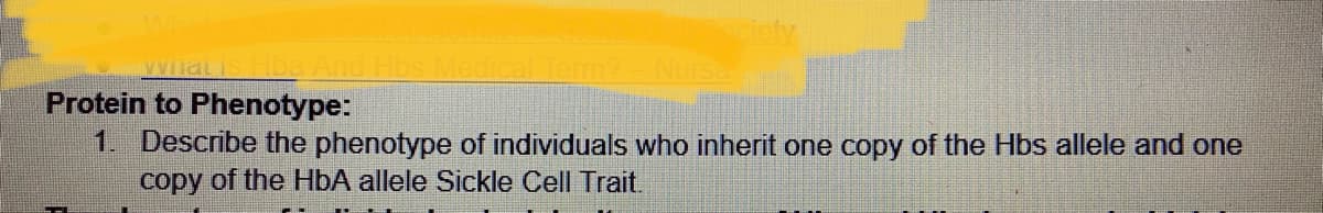 Term?
Protein to Phenotype:
1. Describe the phenotype of individuals who inherit one copy of the Hbs allele and one
copy of the HbA allele Sickle Cell Trait.
