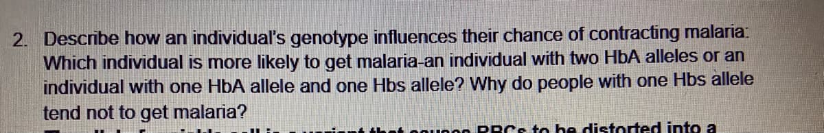 2. Describe how an individual's genotype influences their chance of contracting malaria:
Which individual is more likely to get malaria-an individual with two HbA alleles or an
individual with one HbA allele and one Hbs allele? Why do people with one Hbs allele
tend not to get malaria?
Pounn P RCs to he distorted into a
