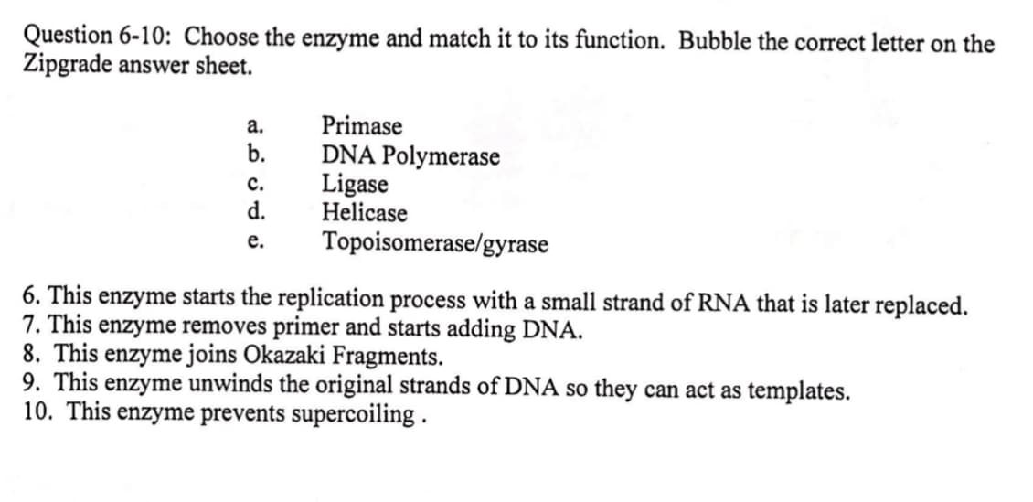 Question 6-10: Choose the enzyme and match it to its function. Bubble the correct letter on the
Zipgrade answer sheet.
Primase
DNA Polymerase
Ligase
Helicase
Topoisomerase/gyrase
а.
b.
с.
d.
е.
6. This enzyme starts the replication process with a small strand of RNA that is later replaced.
7. This enzyme removes primer and starts adding DNA.
8. This enzyme joins Okazaki Fragments.
9. This enzyme unwinds the original strands of DNA so they can act as templates.
10. This enzyme prevents supercoiling .

