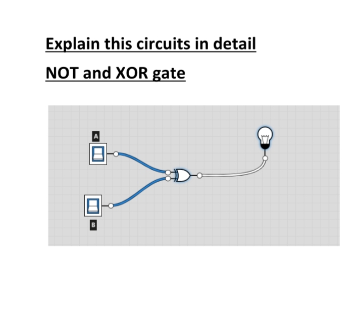 Explain this circuits in detail
NOT and XOR gate

