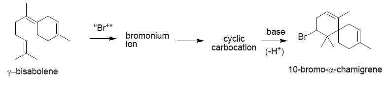 "Br*"
base
bromonium
ion
суclic
carbocation
Br
(-H*)
y-bisabolene
10-bromo-a-chamigrene
