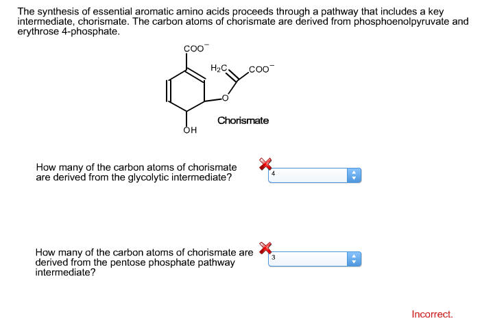 The synthesis of essential aromatic amino acids proceeds through a pathway that includes a key
intermediate, chorismate. The carbon atoms of chorismate are derived from phosphoenolpyruvate and
erythrose 4-phosphate.
COO™
OH
H₂C,
COO
Chorismate
How many of the carbon atoms of chorismate
are derived from the glycolytic intermediate?
How many of the carbon atoms of chorismate are
derived from the pentose phosphate pathway
intermediate?
4
3
Incorrect.