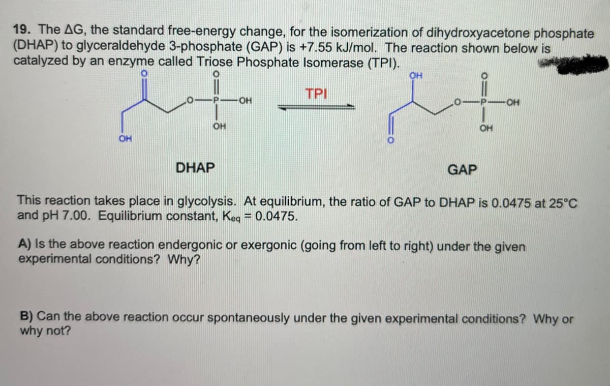 19. The AG, the standard free-energy change, for the isomerization of dihydroxyacetone phosphate
(DHAP) to glyceraldehyde 3-phosphate (GAP) is +7.55 kJ/mol. The reaction shown below is
catalyzed by an enzyme called Triose Phosphate Isomerase (TPI).
OH
O
OH
DHAP
OH
TPI
OH
M+
OH
GAP
OH
This reaction takes place in glycolysis. At equilibrium, the ratio of GAP to DHAP is 0.0475 at 25°C
and pH 7.00. Equilibrium constant, Keq = 0.0475.
A) Is the above reaction endergonic or exergonic (going from left to right) under the given
experimental conditions? Why?
B) Can the above reaction occur spontaneously under the given experimental conditions? Why or
why not?