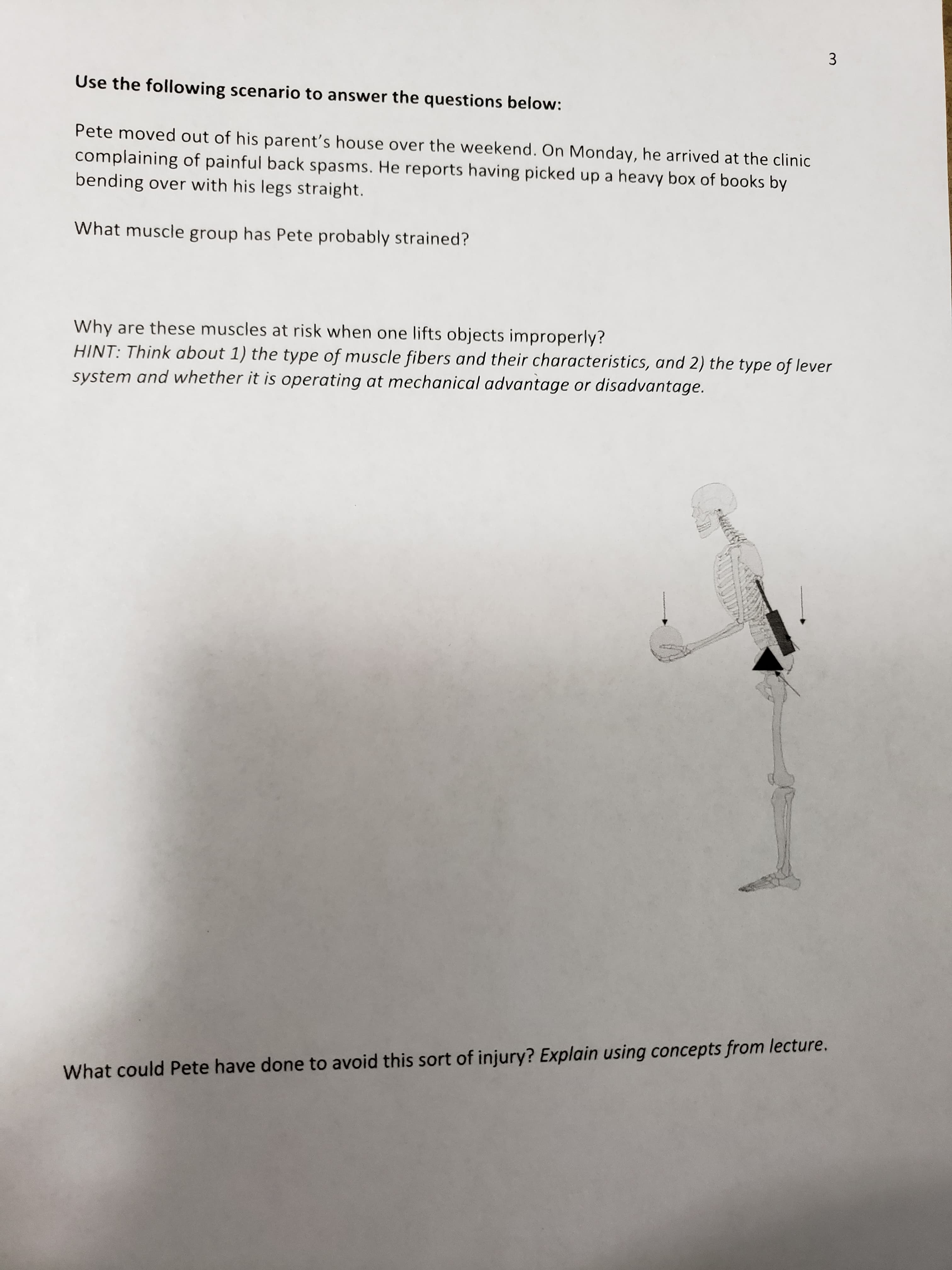 of his parent's house over the weekend. On Monday, he arrived at the clinic
ainful back spasms. He reports having picked up a heavy box of books by
h his legs straight.
up has Pete probably strained?
uscles at risk when one lifts objects improperly?
t 1) the type of muscle fibers and their characteristics, and 2) the type of lever
her it is operating at mechanical advantage or disadvantage.
