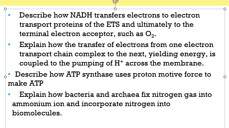 ●
Explain how the transfer of electrons from one electron
transport chain complex to the next, yielding energy, is
coupled to the pumping of H+ across the membrane.
Describe how ATP synthase uses proton motive force to
make ATP
●
Describe how NADH transfers electrons to electron
transport proteins of the ETS and ultimately to the
terminal electron acceptor, such as O₂.
●
Explain how bacteria and archaea fix nitrogen gas into
ammonium ion and incorporate nitrogen into
biomolecules.