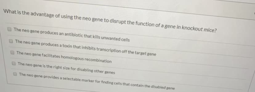 What is the advantage of using the neo gene to disrupt the function of a gene in knockout mice?
The neo gene produces an antibiotic that kills unwanted cells
The neo gene produces a toxin that inhibits transcription off the target gene
The neo gene facilitates homologous recombination
The neo gene is the right size for disabling other genes
The neo gene provides a selectable marker for finding cells that contain the disabled gene
