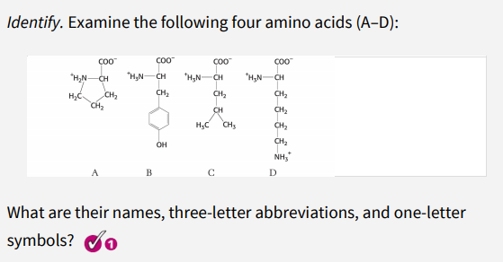 Identify. Examine the following four amino acids (A-D):
Co0
"H,N-
CH
"H,N
CH
"H;N-CH
"H,N
CH
CH2
CH2
CH,
CH
CH2
CH3
CH,
CH2
OH
NH,"
B
D
What are their names, three-letter abbreviations, and one-letter
symbols?
