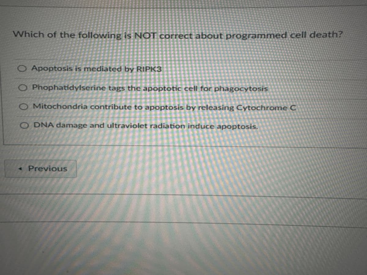 Which of the following is NOT correct about programmed cell death?
O Apoptosis is mediated by RIPK3
O Phophatidylserine tags the apoptotic cell for phagocytosis
O Mitochondria contribute to apoptosis by releasing Cytochrome C
O DNA damage and ultraviolet radiation induce apoptosis.
< Previous