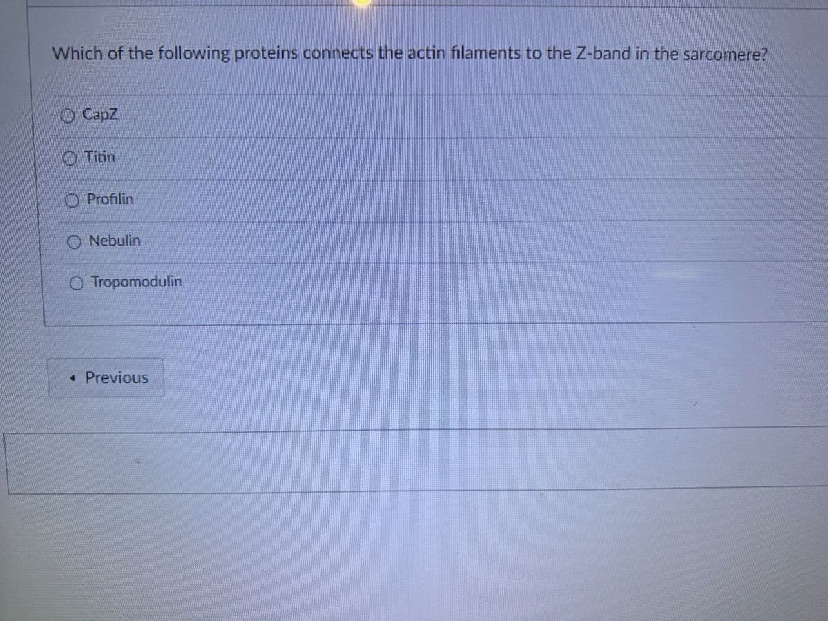 Which of the following proteins connects the actin filaments to the Z-band in the sarcomere?
CapZ
Titin
Profilin
Nebulin
O Tropomodulin
< Previous