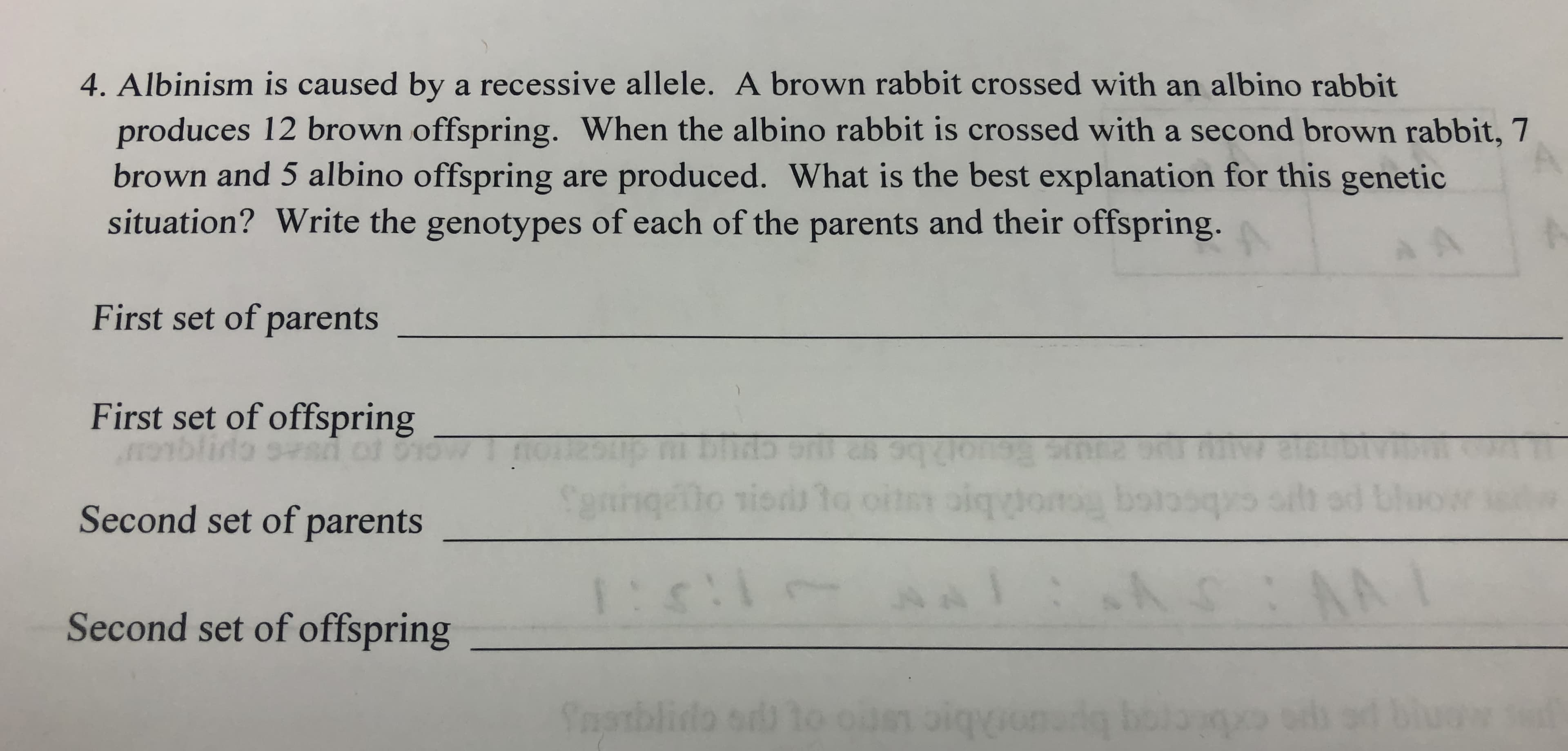 4. Albinism is caused bya recessive al lele. A brown rabbit crossed with an albino rabbit
produces 12 brown offspring. When the albino rabbit is crossed with a second brown rabbit, 7
brown and 5 albino offspring are produced. What is the best explanation for this genetic
situation? Write the genotypes of each of the parents and their offspring.
A
First set of parents
First set of offspring
Cenng
to ri
Second set of parents
e
1:s!!
A
A
Second set of offspring
Sbl
