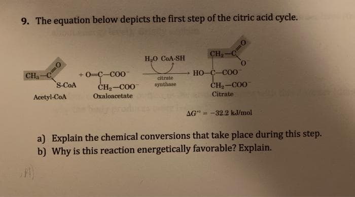 9. The equation below depicts the first step of the citric acid cycle.
H0 CoA-SH
CH-C
+ 0=C-CO0
HO C-COO
citrate
s-COA
ČH2-COO
synthase
ČH2 -CO0
Citrate
Acetyl-CoA
Oxaloacetate
AG" = -32.2 kJ/mol
a) Explain the chemical conversions that take place during this step.
b) Why is this reaction energetically favorable? Explain.
