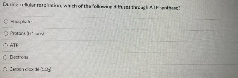 During cellular respiration, which of the following diffuses through ATP synthase?
O Phosphates
O Protons (H* ions)
O ATP
O Electrons
O Carbon dioxide (CO2)
