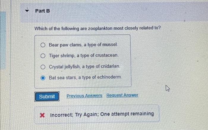 Part B
Which of the following are zooplankton most closely related to?
O Bear paw clams, a type of mussel.
O Tiger shrimp, a type of crustacean.
O Crystal jellyfish, a type of cnidarian.
Bat sea stars, a type of echinoderm.
Submit Previous Answers Request Answer
X Incorrect; Try Again; One attempt remaining
4