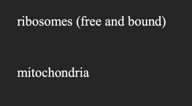 ribosomes (free and bound)
mitochondria