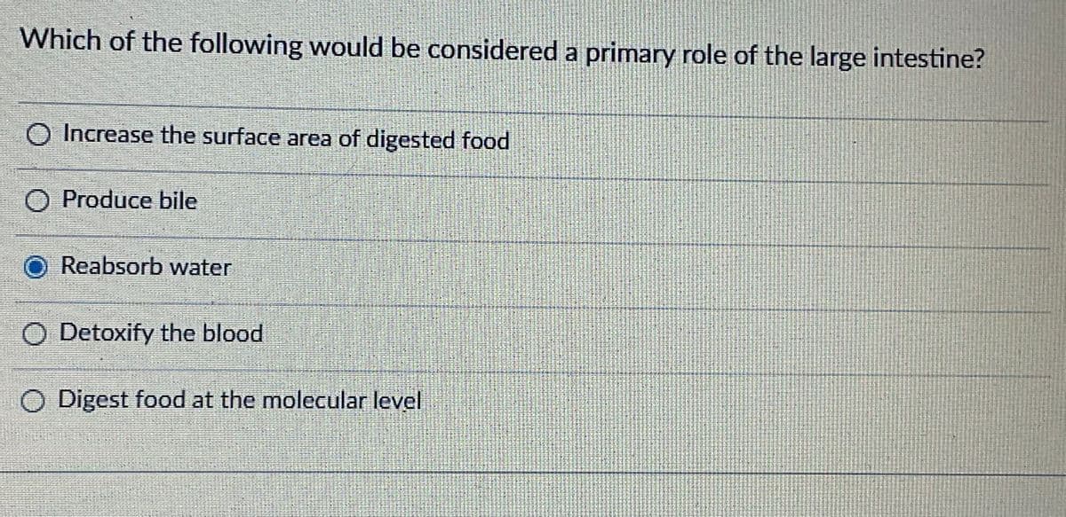 Which of the following would be considered a primary role of the large intestine?
O Increase the surface area of digested food
O Produce bile
O Reabsorb water
H
O Detoxify the blood
O Digest food at the molecular level