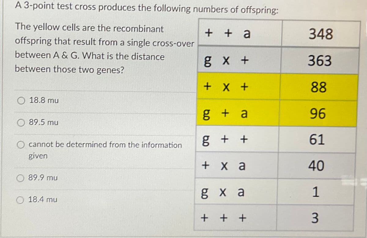 A 3-point test cross produces the following numbers of offspring:
The yellow cells are the recombinant
+ + a
348
offspring that result from a single cross-over
between A & G. What is the distance
g x +
363
between those two genes?
+ X +
88
O 18.8 mu
g + a
96
O 89.5 mu
g +
61
O cannot be determined from the information
given
+ X a
40
89.9 mu
g x a
1
O 18.4 mu
+ + +
3.
