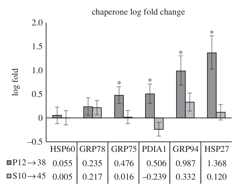 log fold
2.0
1.5
1.0
0.5
0
-0.5
chaperone log fold change
*HH
OP12 38 0.055 0.235
OS10 45 0.005 0.217
*
*
HSP60 GRP78 GRP75 PDIA1 GRP94 HSP27
0.476 0.506 0.987
1.368
0.016 -0.239 0.332
0.120