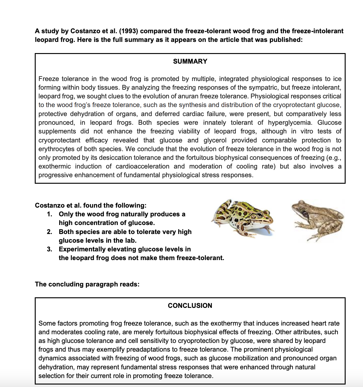 A study by Costanzo et al. (1993) compared the freeze-tolerant wood frog and the freeze-intolerant
leopard frog. Here is the full summary as it appears on the article that was published:
SUMMARY
Freeze tolerance in the wood frog is promoted by multiple, integrated physiological responses to ice
forming within body tissues. By analyzing the freezing responses of the sympatric, but freeze intolerant,
leopard frog, we sought clues to the evolution of anuran freeze tolerance. Physiological responses critical
to the wood frog's freeze tolerance, such as the synthesis and distribution of the cryoprotectant glucose,
protective dehydration of organs, and deferred cardiac failure, were present, but comparatively less
pronounced, in leopard frogs. Both species were innately tolerant of hyperglycemia. Glucose
supplements did not enhance the freezing viability of leopard frogs, although in vitro tests of
cryoprotectant efficacy revealed that glucose and glycerol provided comparable protection to
erythrocytes of both species. We conclude that the evolution of freeze tolerance in the wood frog is not
only promoted by its desiccation tolerance and the fortuitous biophysical consequences of freezing (e.g.,
exothermic induction of cardioacceleration and moderation of cooling rate) but also involves a
progressive enhancement of fundamental physiological stress responses.
Costanzo et al. found the following:
1. Only the wood frog naturally produces a
high concentration of glucose.
2.
Both species are able to tolerate very high
glucose levels in the lab.
3.
Experimentally elevating glucose levels in
the leopard frog does not make them freeze-tolerant.
The concluding paragraph reads:
CONCLUSION
Some factors promoting frog freeze tolerance, such as the exothermy that induces increased heart rate
and moderates cooling rate, are merely fortuitous biophysical effects of freezing. Other attributes, such
as high glucose tolerance and cell sensitivity to cryoprotection by glucose, were shared by leopard
frogs and thus may exemplify preadaptations to freeze tolerance. The prominent physiological
dynamics associated with freezing of wood frogs, such as glucose mobilization and pronounced organ
dehydration, may represent fundamental stress responses that were enhanced through natural
selection for their current role in promoting freeze tolerance.