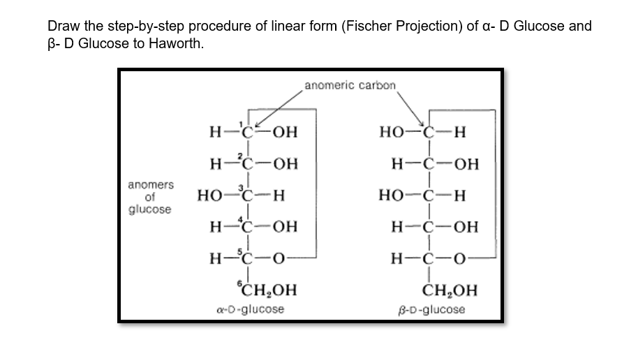 Draw the step-by-step procedure of linear form (Fischer Projection) of a- D Glucose and
B- D Glucose to Haworth.
anomeric carbon
H-C-OH
HO-C-H
H-C-OH
H-Č-OH
anomers
of
glucose
HO-C-H
но-с—н
H Č-OH
H-C-OH
H-ċ-o
H-C-0-
CH,OH
ČH,OH
a-D-glucose
В-D-glucose
