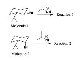 Br
NH
Reaction 1
Molecule 1
NH
Reaction 2
Br
Molecule 2
