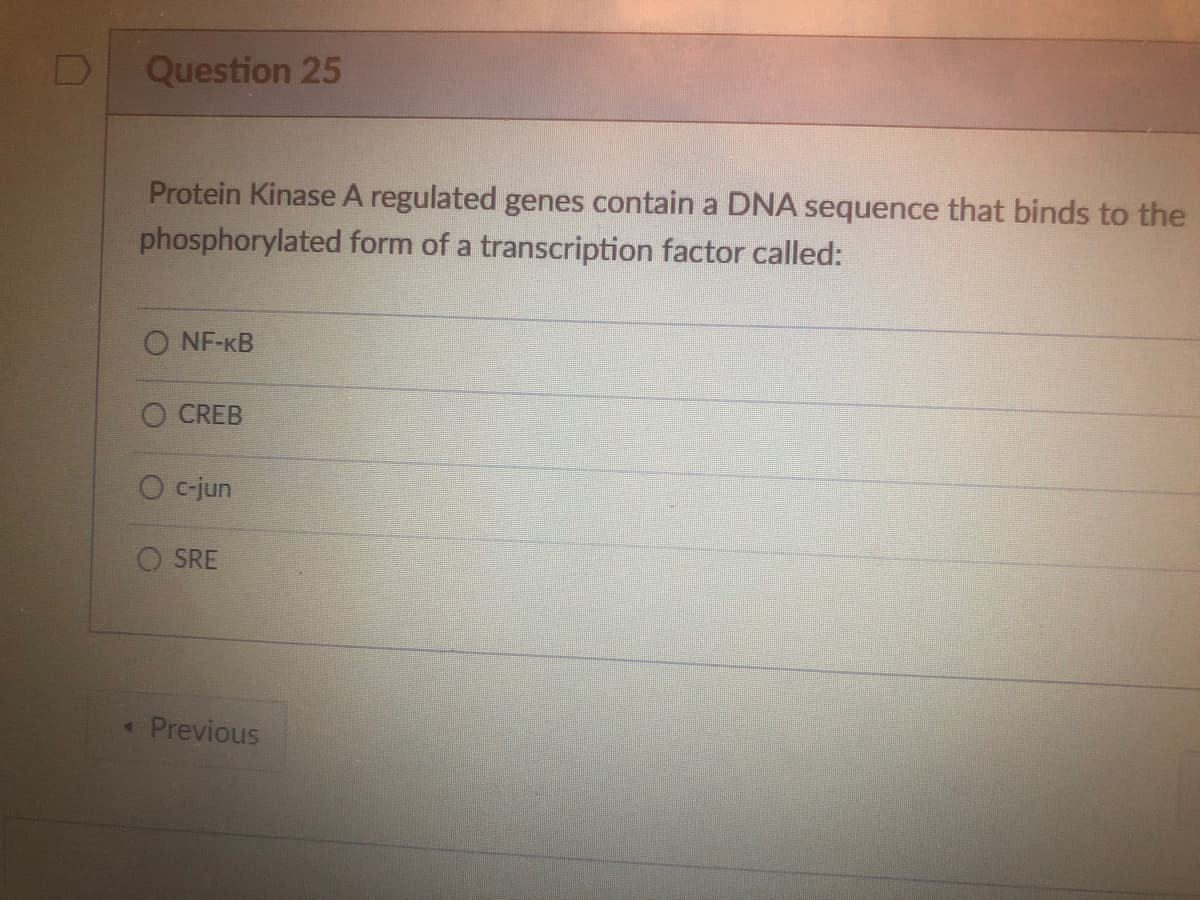 D
Question 25
Protein Kinase A regulated genes contain a DNA sequence that binds to the
phosphorylated form of a transcription factor called:
ONF-KB
CREB
O c-jun
SRE
< Previous