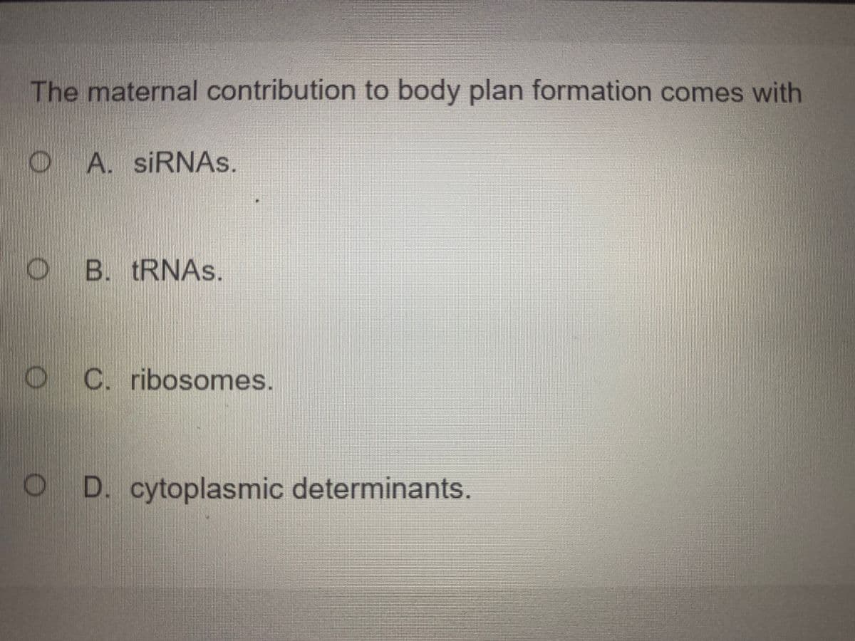 The maternal contribution to body plan formation comes with
OA. SIRNAS.
O B.
tRNAs.
C. ribosomes.
D. cytoplasmic determinants.
