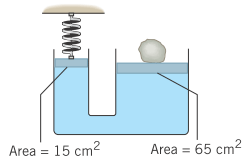 Area = 15 cm2
Area = 65 cm?
