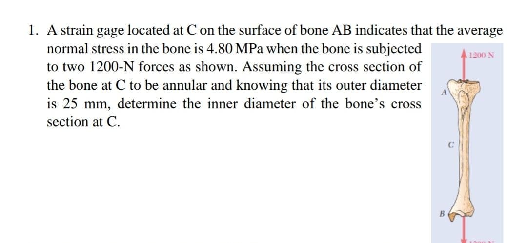 1. A strain gage located at C on the surface of bone AB indicates that the average
normal stress in the bone is 4.80 MPa when the bone is subjected
to two 1200-N forces as shown. Assuming the cross section of
the bone at C to be annular and knowing that its outer diameter
is 25 mm, determine the inner diameter of the bone's cross
1200 N
section at C.

