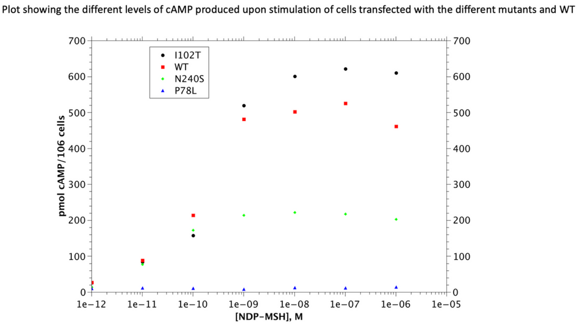 Plot showing the different levels of cAMP produced upon stimulation of cells transfected with the different mutants and WT
pmol CAMP/106 cells
700
600
500
400
300
200
100
L
0+
le-12
L
www
le-11
●
■
1102T
WT
N240S
A P78L
:
le-10 1e-09 1e-08
[NDP-MSH], M
TTT
1e-07
T
L
1e-06
700
600
500
400
300
200
100
0
1e-05
