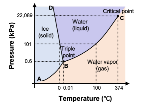 Pressure (kPa)
22,089
101
0.6
DI
Ice
(solid)
A
Water
(liquid)
Triple
point
B
0 0.01
Critical point
C
Water vapor
(gas)
100
Temperature (°C)
374